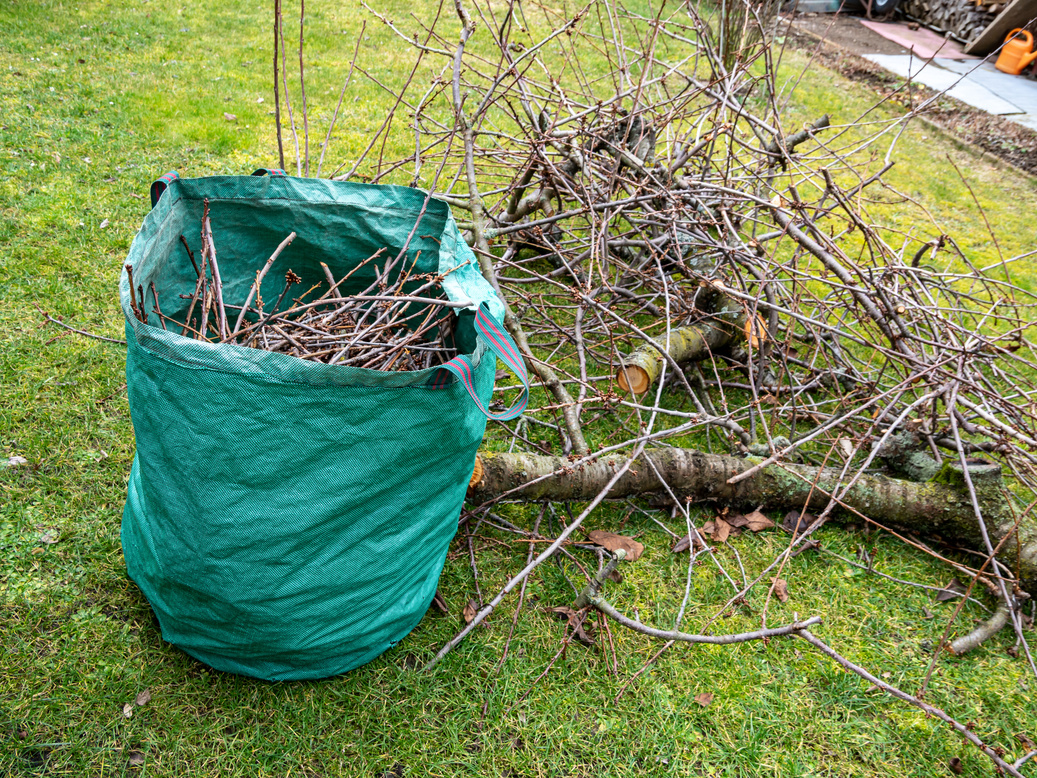 Tree pruning in the garden Green waste